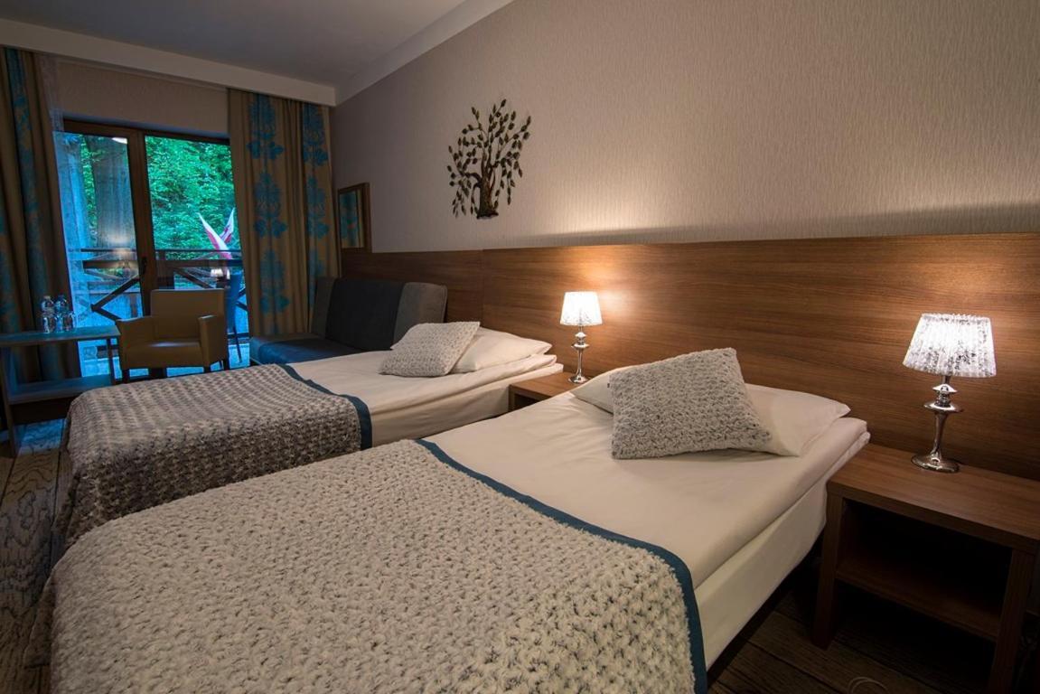 Hotel Europa - Gornicza Strzecha Шклярска-Поремба Экстерьер фото